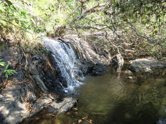 Khao Yai Nationalpark I 34