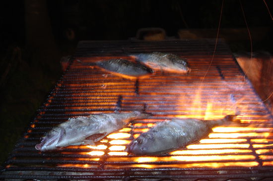 Da die Osterinsel ja so teuer ist, haben wir uns auf dem Markt Fisch gekauft. Ich durfte dann meinen Fisch selbst aufschneiden, ausnehmen und einschneiden...war echt lecker, auch wenn das mit den Gedaerme entnehmen schon ein bisschen eklig ist. Sonst gabs selbst gekochte Pasta und Reis...