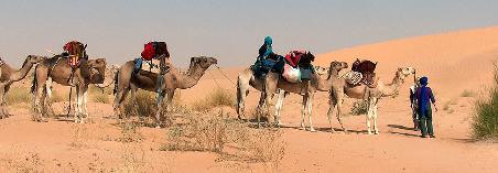 Nomaden In Der Wüste