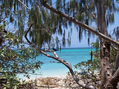 Südseeparadies in Australien - Lady Musgrave Island