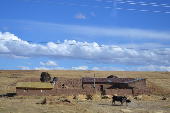 Auf dem Weg von Bolivien nach Peru.