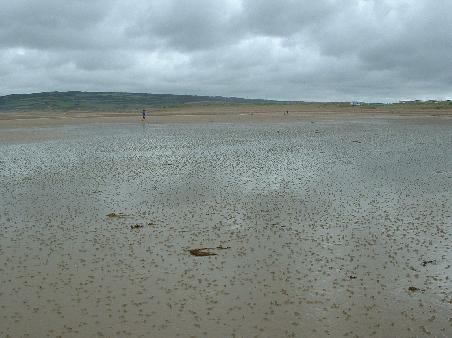Endlose Sandstrände auf der Cotentin- Halbinsel