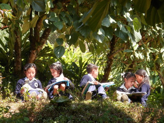 Schulkinder im "Draussen- Unterricht"