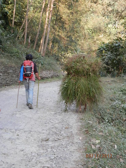 Tim und das "Waldmaennchen"
