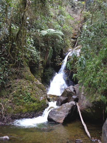 Cascada (Wasserfall)