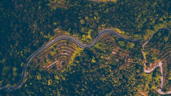 Luftaufnahme einer Straße, die durch einen Wald in Dänemark führt.