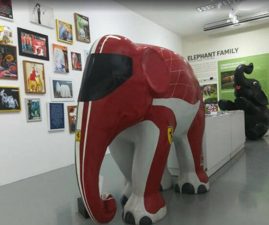 Innenansicht des Museums der Elephant Parade in Chiang Mai.