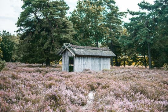 Malerisches Bild einer Hütte in der Lüneburger Heide