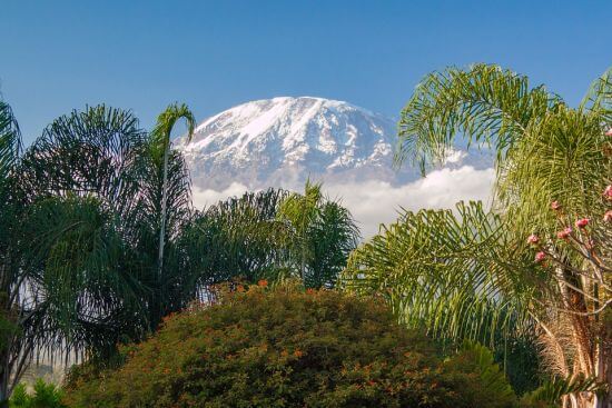 Bild des Kilimanjaro