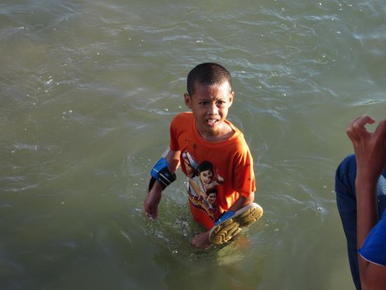 ... und der Nachwuchs schaut schon mal aus dem Wasser zu