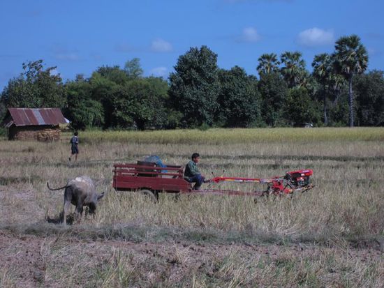 Dies ist das typische Laos auf dem Land - Ackerbau wie vor 100 Jahren, nur der Minitraktor war neu.