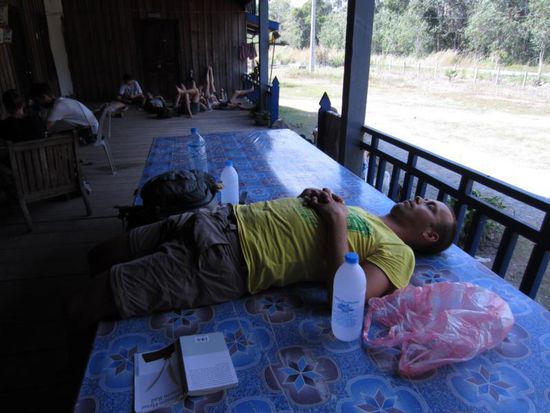 oder ein kleines Nickerchen auf dem Tisch zu machen 