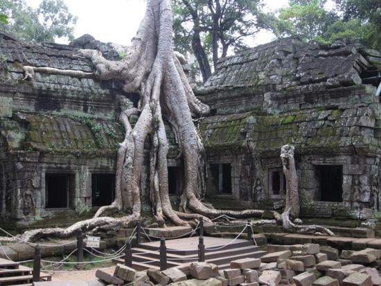 und zum Schluss noch ein paar Bilder vom "Wurzeltempel" Ta Prohm...