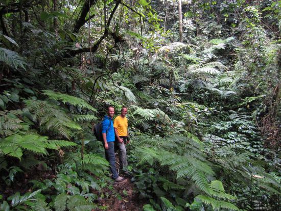 Kurz darauf ging es dann in den Dschungel....