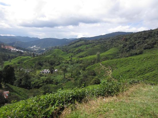 ... mit tollem Blick ueber die Highlands.