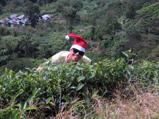 Sogar einen Weihnachtswichtel haben wir oben gesehen - kein Wunder, es ist ja auch Adventszeit 
