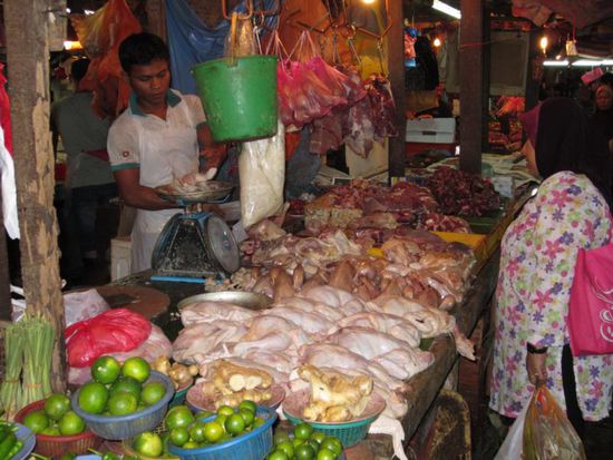 ... sieht man dann allerdings das Fleisch bei 33 Grad in der Hitze liegen, dann weiß man doch die Kühltheken der Supermärkte zu schätzen 