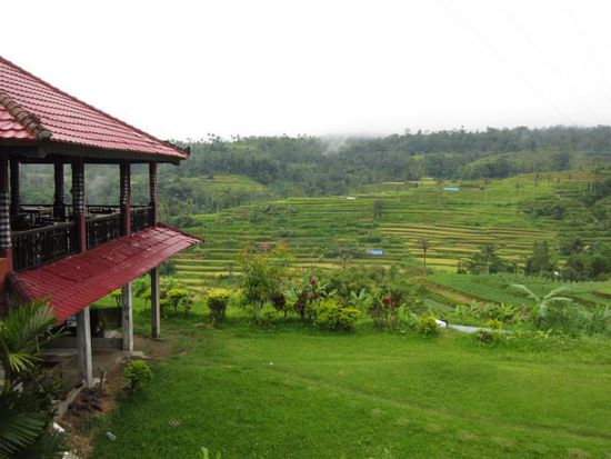 Und noch eine schöne Reisterrasse, die überall auf der Insel zu sehen sind.