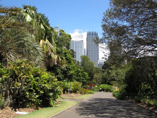 ... und gleich daneben liegt der schöne Botanische Garten als Erholungsort für gestresste Manager 