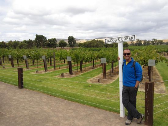 Am Weingut Jacob´s Creek im Barrosa Valley, wo jede Menge Wein produziert wird.
