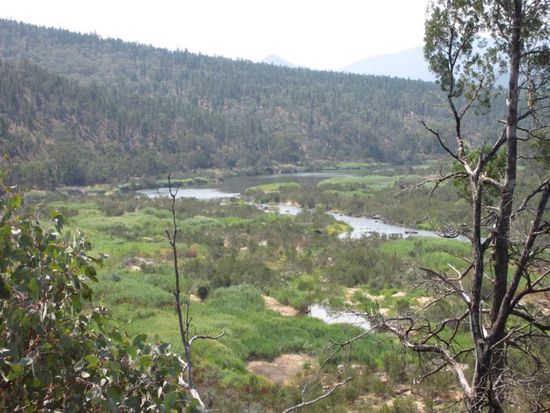 Zwischen den Gebirgszügen schlängelt sich der Snowy River entlang, der sich immer wieder zu Seen erweitert.