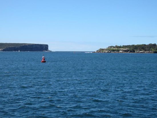 ... und sogar bis nach Manly zur Hafeneinfahrt Sydneys fahren.