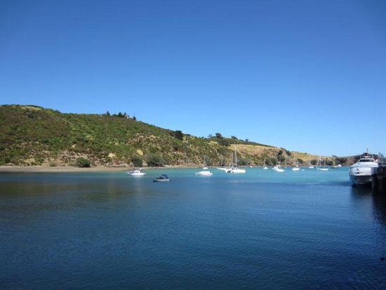 Waiheke Island mit seinem kleinen Seglerhafen ist ein beliebtes Ausflugsziel der Städter. Von hier kommt man mit der Fähre zurück zur Stadt...