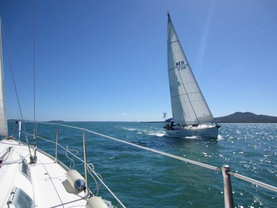 Die Umgebung von Auckland bietet wirklich Traumgebiete und beste Bedingungen für Segler.