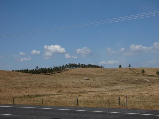 Unterwegs in Neuseeland - eigentlich sollte alles saftig grün sein, durch die Dürre sah es hier aber eher aus wie Spanien im August 