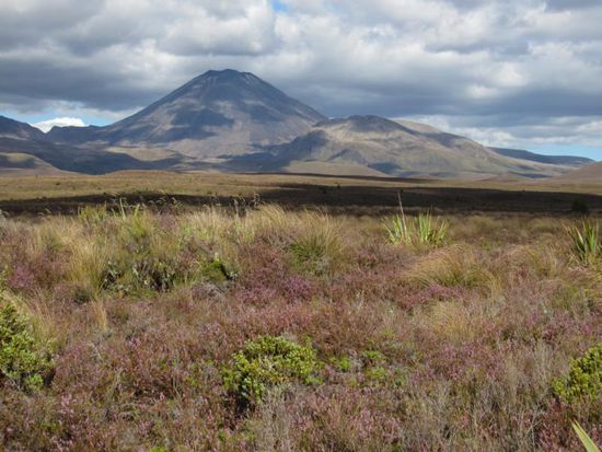 ... und danach weiter in der endlosen Landschaft des Parks.