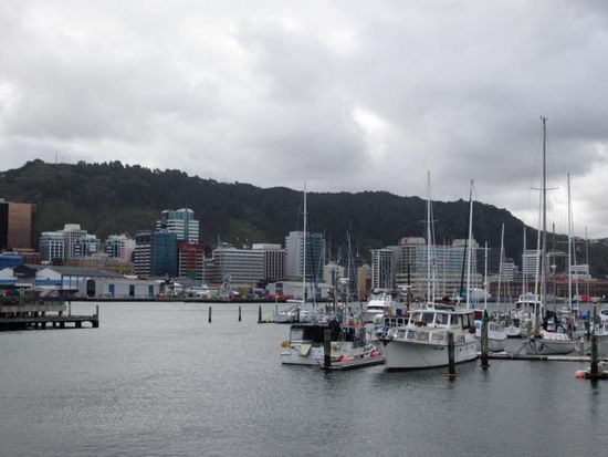 Der Hafen ist recht hübsch, aber wesentlich kleiner als der in Auckland...