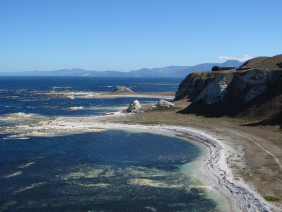 An der Steilküste bei Kaikoura kann man schöne Wanderungen unternehmen und mit etwas Glück Seehunde beobachten.