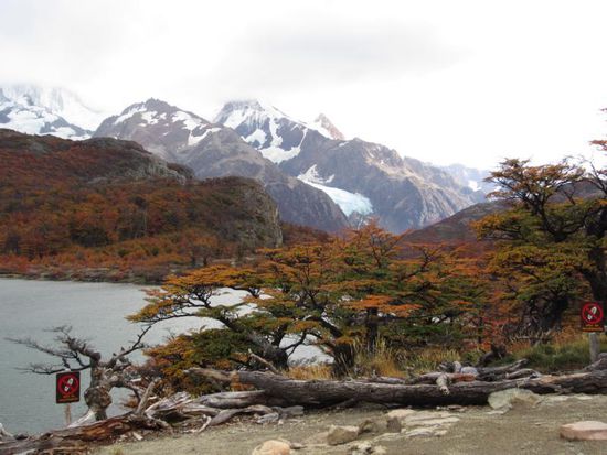An der Laguna Capri - von hier beginnen die Bergbesteigungen des Fitz Roy Massivs - das wäre für mich aber zuviel des Guten gewesen 
