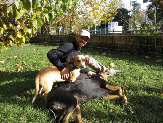 ... und mit den Hunden des Hauses zu spielen.