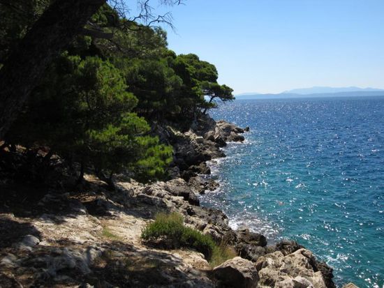 ... und genießt dann mutterseelenalleine den Blick auf das kristallklare Wasser und das glitzernde Meer.