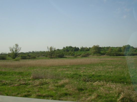 Unkraut soweit das Auge reicht...