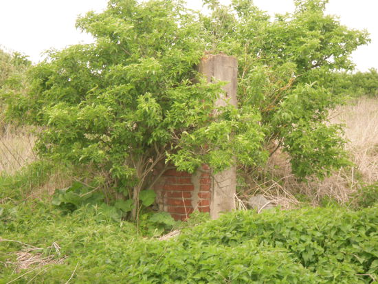 Torpfosten vom Gut Pruskehmen