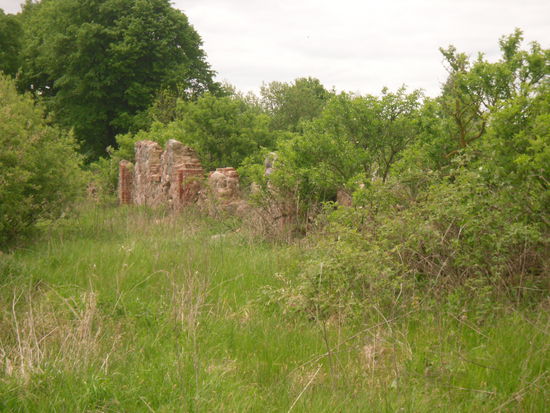 Im Hintergrund wieder die hohen Bäume, mit dem Verweis auf einen Gutshof.