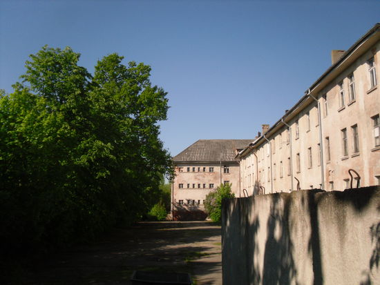 Blick über den Zaun