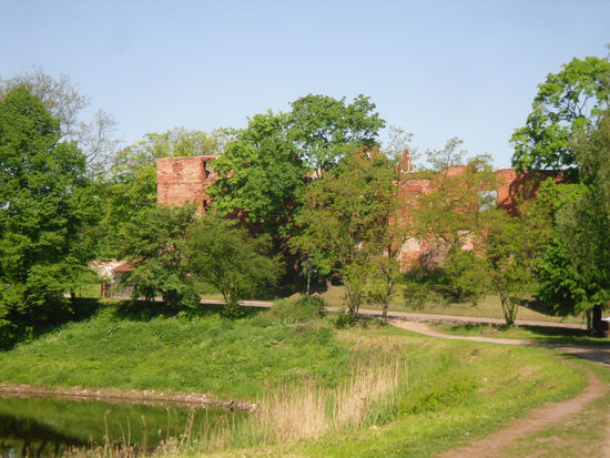 Schlossteich nahe der Ruine der Ordensburg