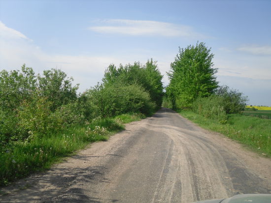 Alte Straße von Trakehnen nach Gumbinnen