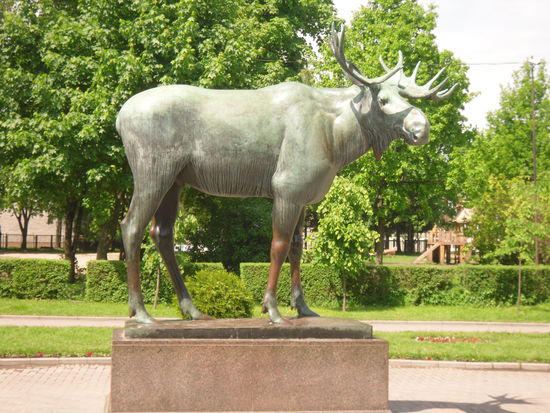 Das Wahrzeichen von Gumbinnen. Der Elch stand viele Jahre im Zoo von Kaliningrad.