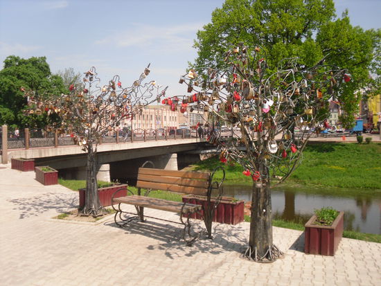 Schlossbaum der Jungvermählten am Ufer der Angerapp