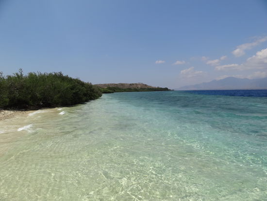 Korallenriff! Da wo das Wasser dunkelblau wird ist der Übergang ins Tiefe, wo wir geschnorchelt sind!