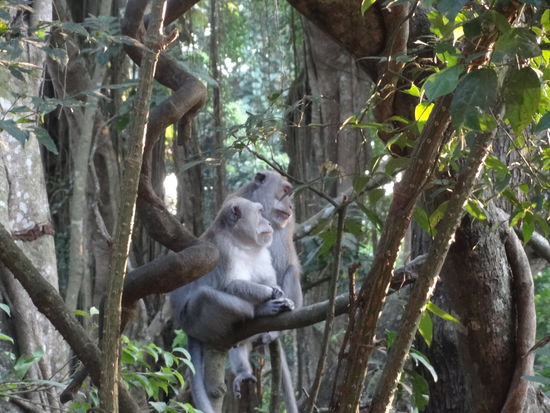 die zwei beobachten vielleicht den Sonnenuntergang...wie romantisch...