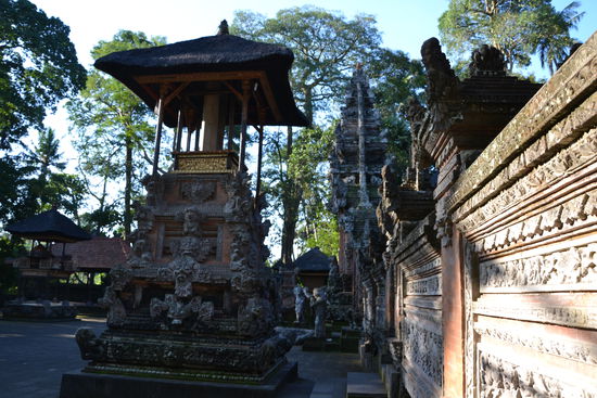 Tempel in the monkey forest park