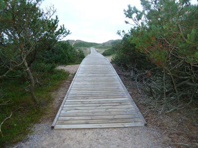 Weg zum Strand Tylösand
