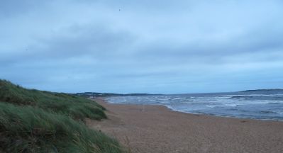 Strand Tylösand
