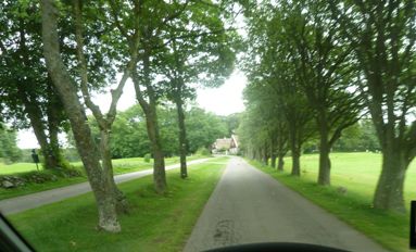 Allee mit Golfplatz auf beiden Seiten, nähe Kullaberg