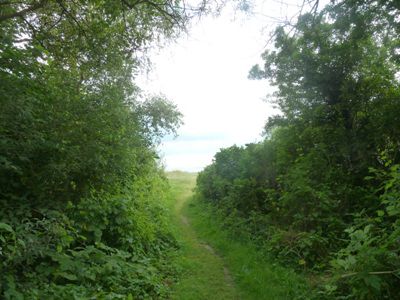 Weg zum Strand in Faxe Ladeplads